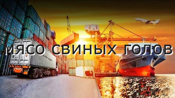 мясо свиных голов